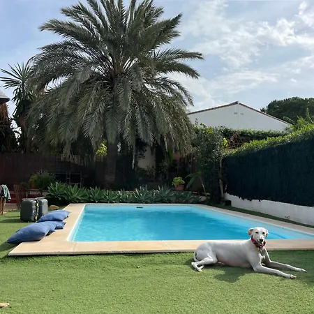 En La Playa Con Piscina, Premiado En 2026 !!! *