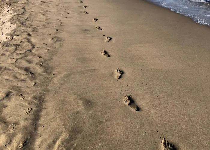 En La Playa Con Piscina, Premiado En 2026 !!!